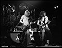 1976-11-24