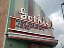 2010-10-10 Photo